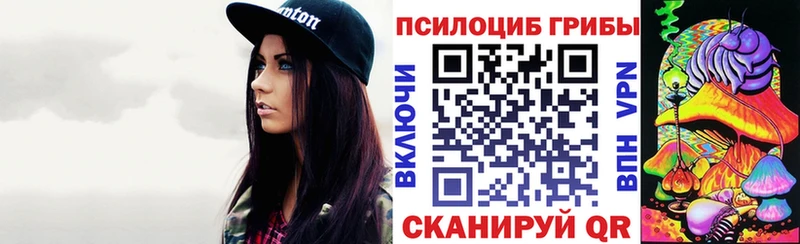 Купить где  Малоархангельск  Галлюциногенные грибы Cubensis 